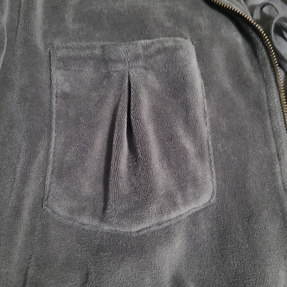 *Young, Fabulous and Broke gray velour cropped hoodie, full zip, size Sma… - Picture 11 of 11